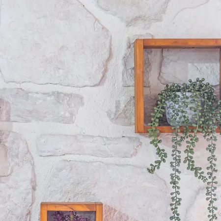 Sikia House In Zakynthos Semesterbostad *